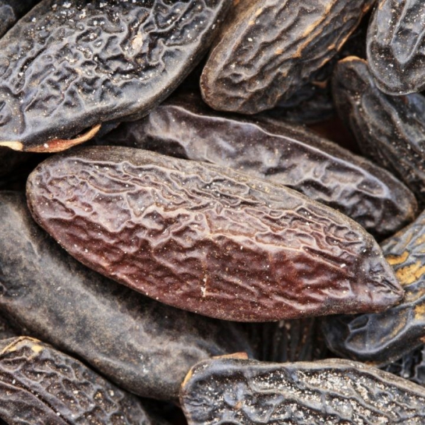 FSS Tonka Bean Bioferment PF