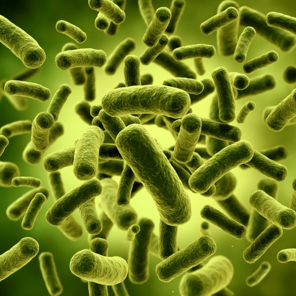 Leucidal® SF Max