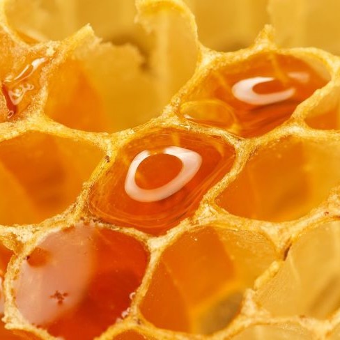 FSS Royal Jelly Extract G